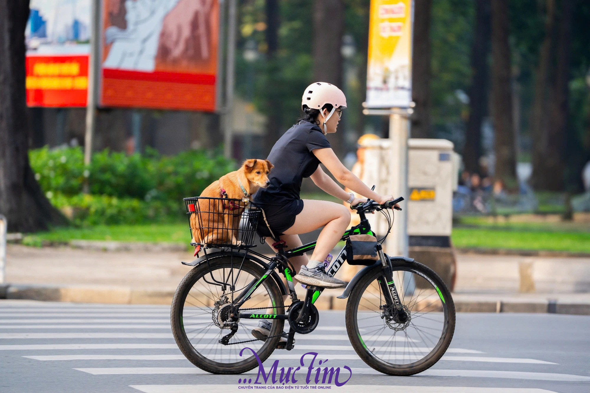 Mê mẩn không khí TP.HCM những ngày cuối năm- Ảnh 6.