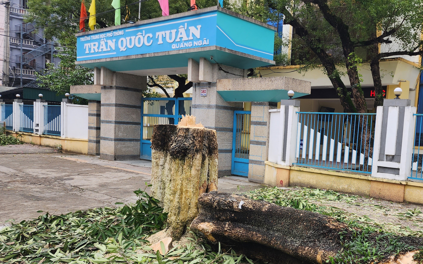 Không có chuyện làm trạm sạc xe điện trước cổng Trường THPT Trần Quốc Tuấn, Quảng Ngãi - Ảnh 6.