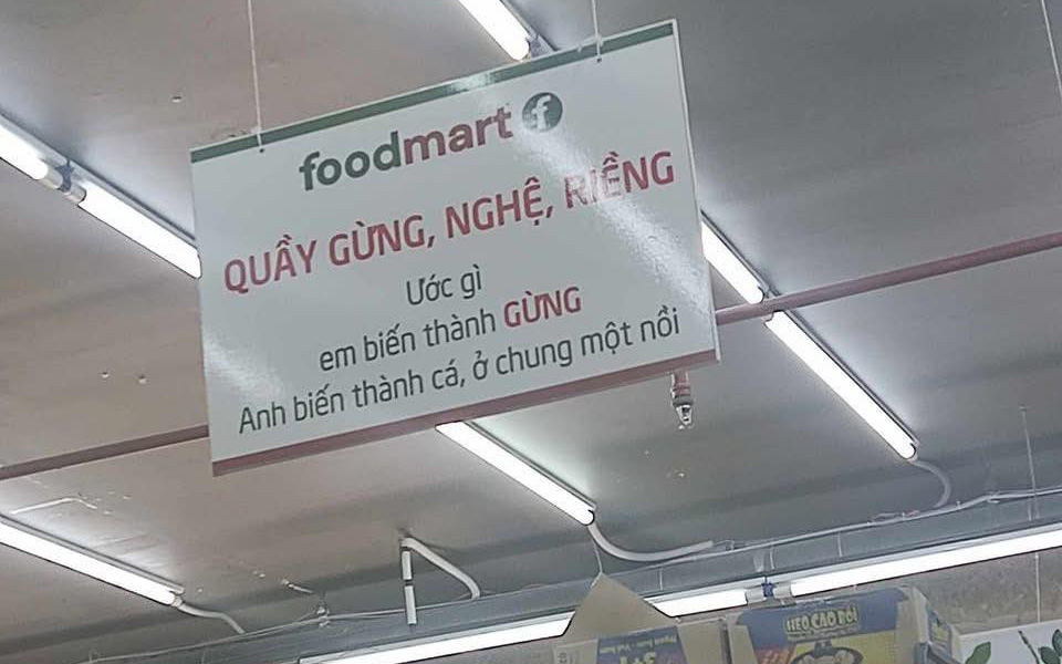 Cây thông 'suy dinh dưỡng' sốt rần rần dịp Noel 2024 - Ảnh 1.