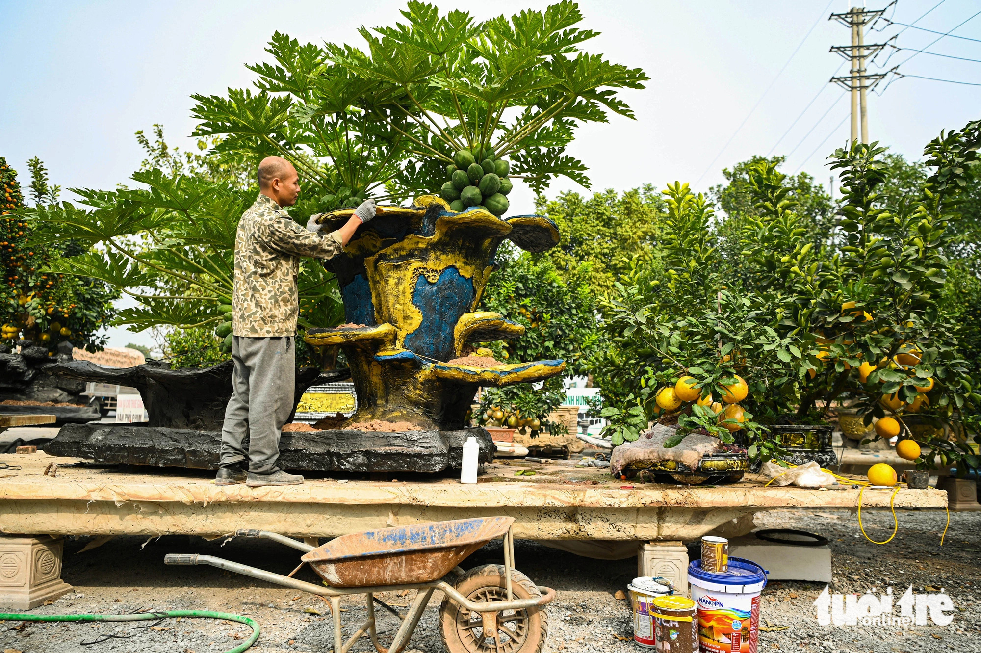 Tạo hình cây cảnh Tết nặng hàng tấn, giá bán hàng trăm triệu đồng - Ảnh 9.