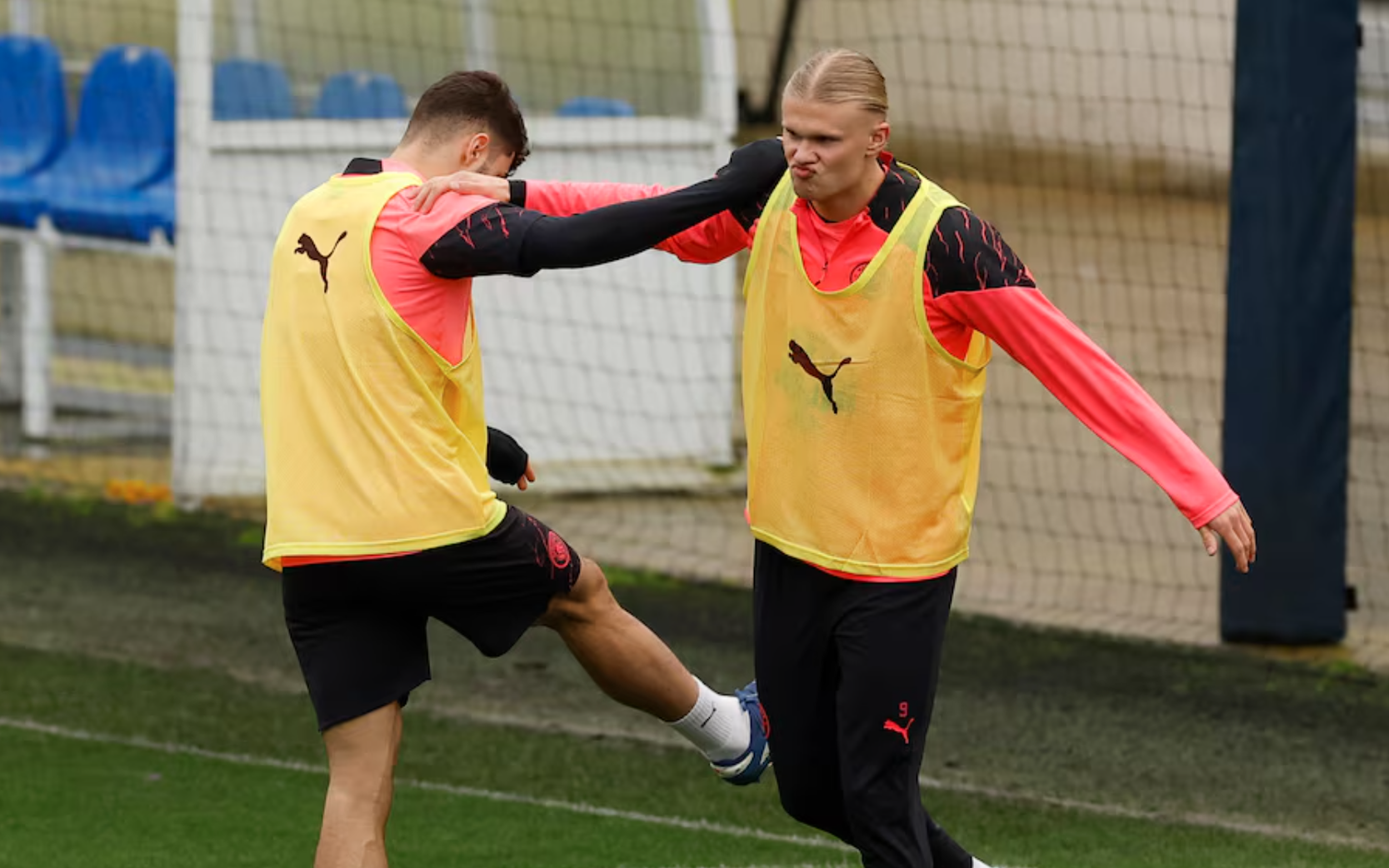 Gấu khổng lồ tấn công khu vườn của cựu ngôi sao Man City - Ảnh 2.