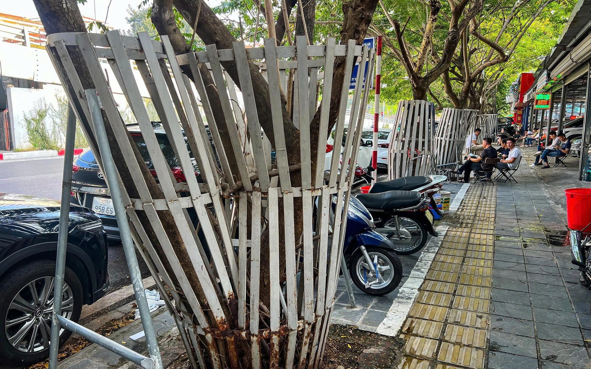 Một triệu cây vì biển đảo Tổ quốc - Ảnh 6.