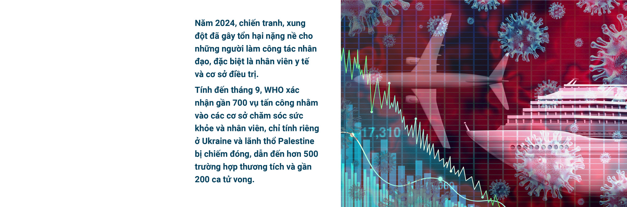 2024 - Biến động và sáng tạo - Ảnh 52.