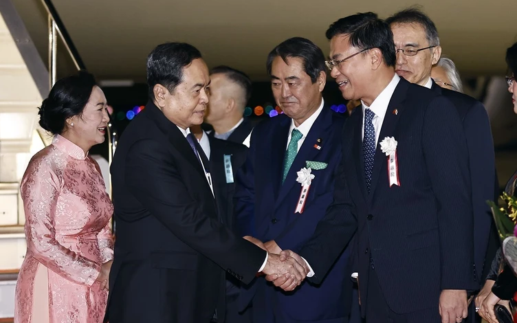Chủ tịch Quốc hội Trần Thanh Mẫn hội đàm với Chủ tịch Hạ viện Nhật Bản - Ảnh 4.