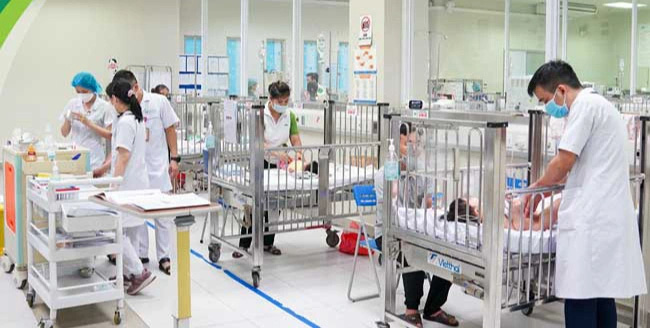 Lấy nhầm lá hoa thủy tiên nấu cháo chữa ho, 2 trẻ ngộ độc cấp cứu - Ảnh 1. 2 trẻ ngộ độc do gia đình hái nhầm lá hoa thủy tiên nấu cháo - Ảnh 1.