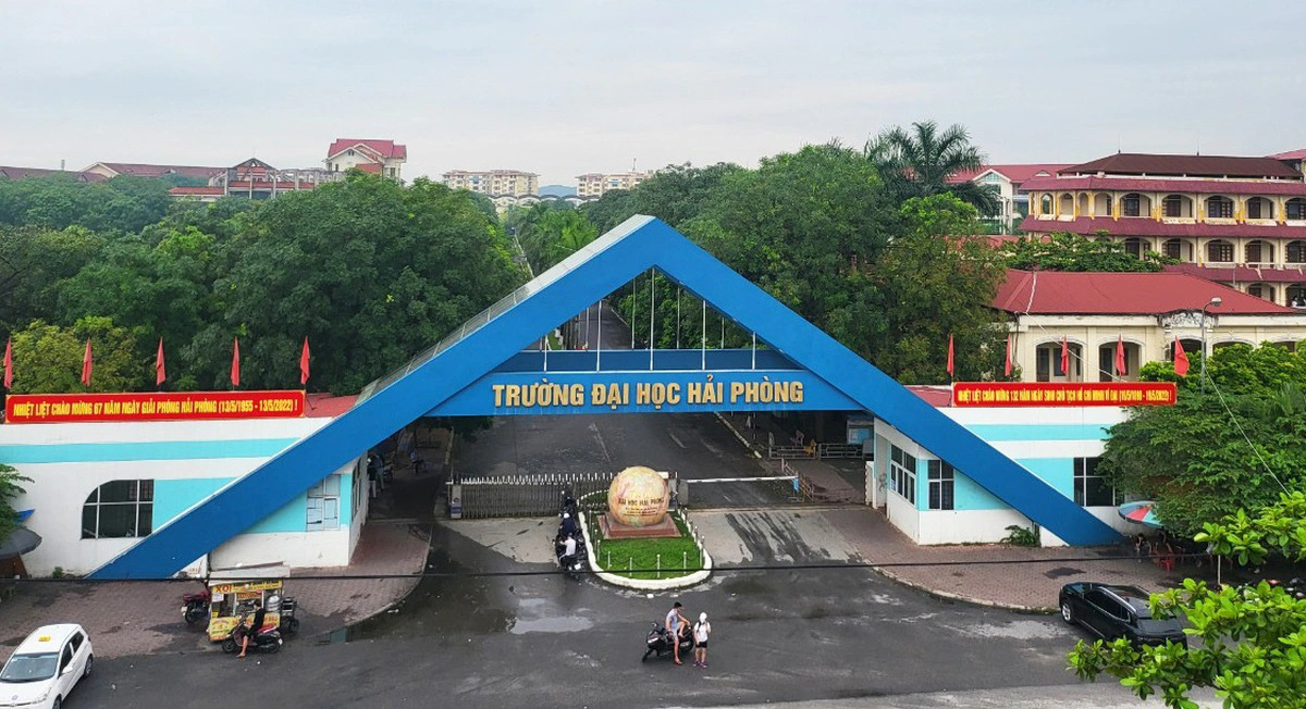 Đề xuất hỗ trợ giáo sư về dạy ở Đại học Hải Phòng 500 triệu đồng - Ảnh 1.