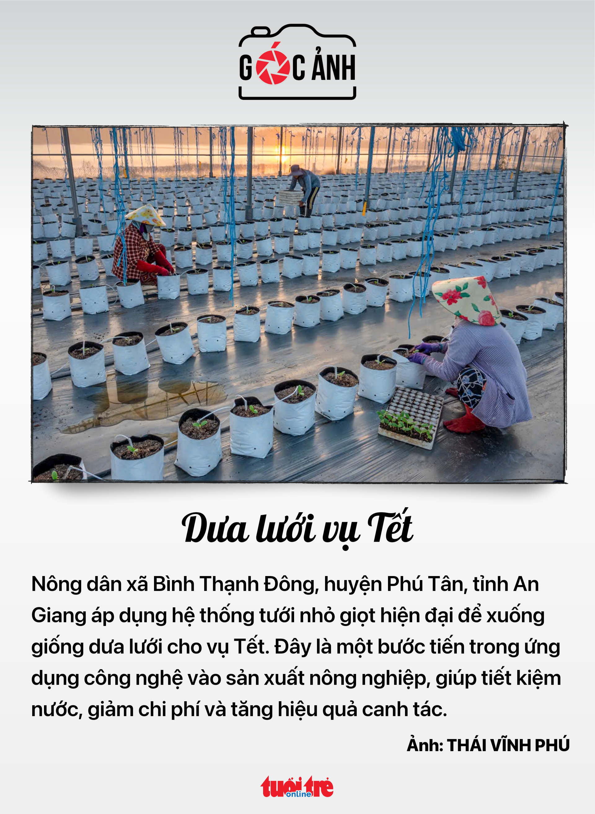 Tin tức sáng 9-12: - Ảnh 8.