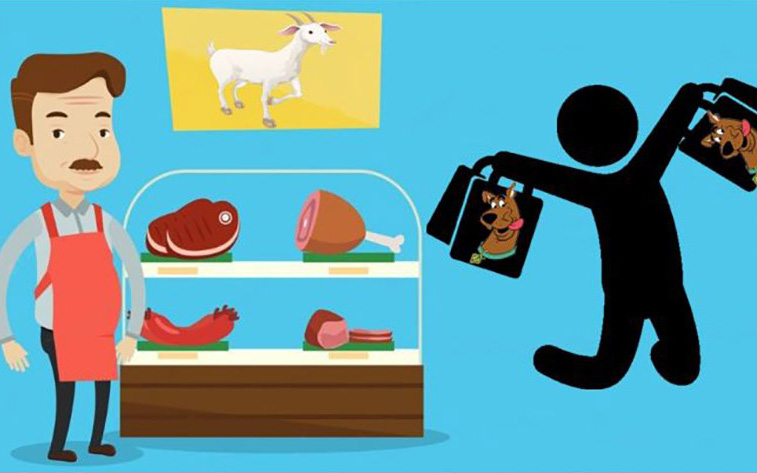 Câu tục ngữ, thành ngữ "khó nhằn" này là gì? (P48)