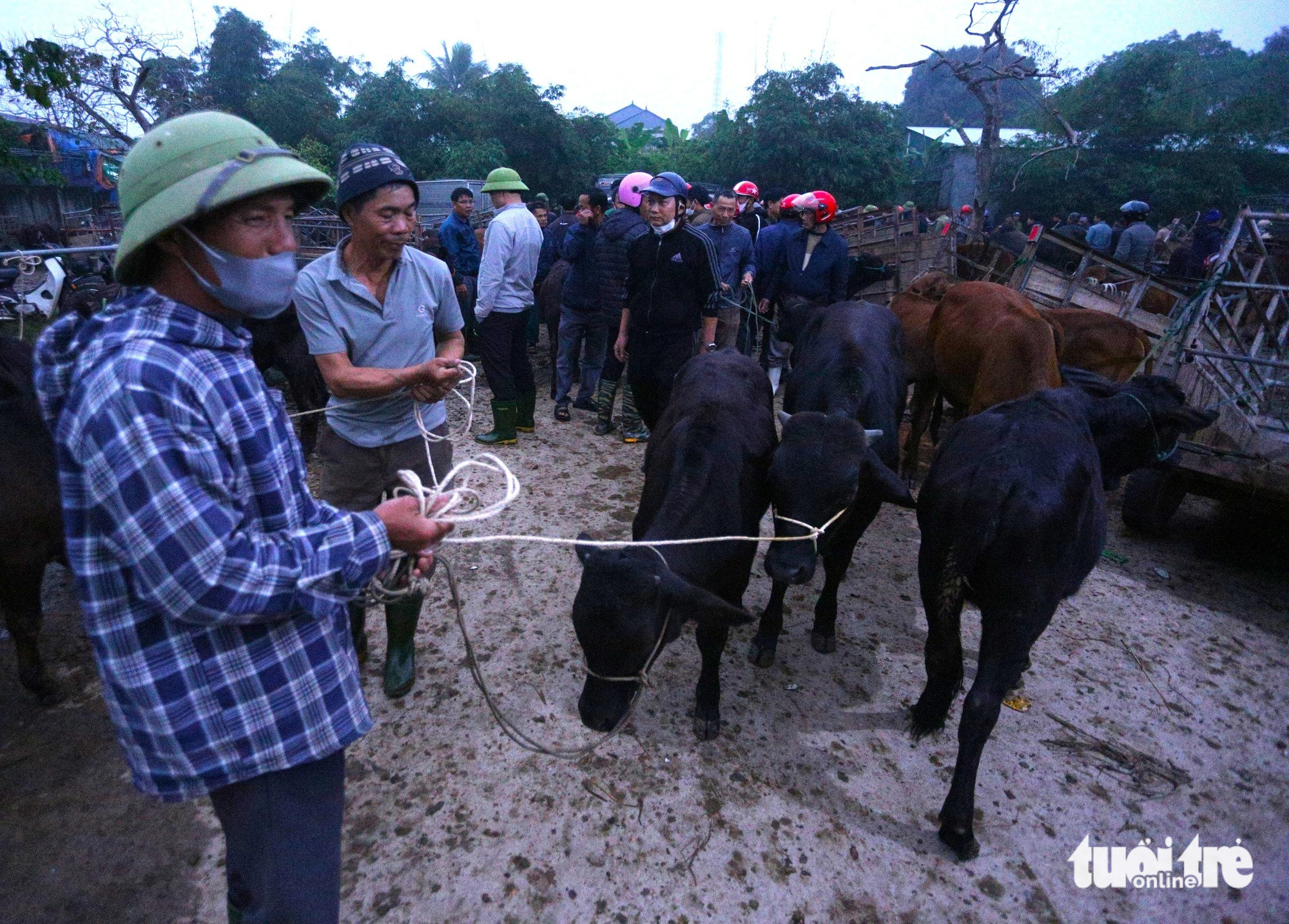 Mỗi phiên chợ Nhe thu hút hàng trăm người đổ về buôn bán trâu bò - Ảnh: LÊ MINH