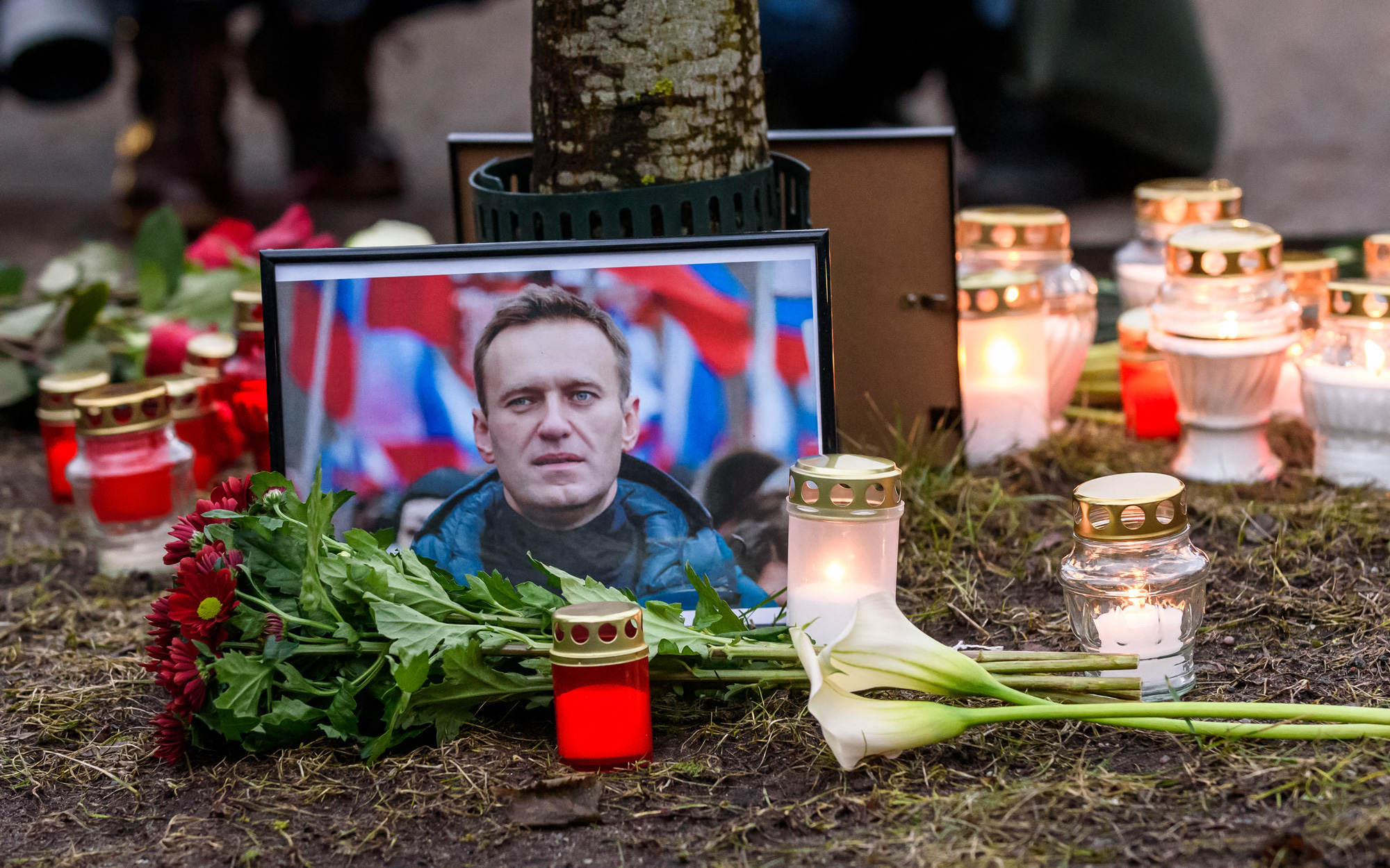 Mẹ ông Navalny yêu cầu ông Putin trả thi thể con trai- Ảnh 3. Hàng loạt nước triệu đại sứ Nga sau cái chết của Alexei Navalny