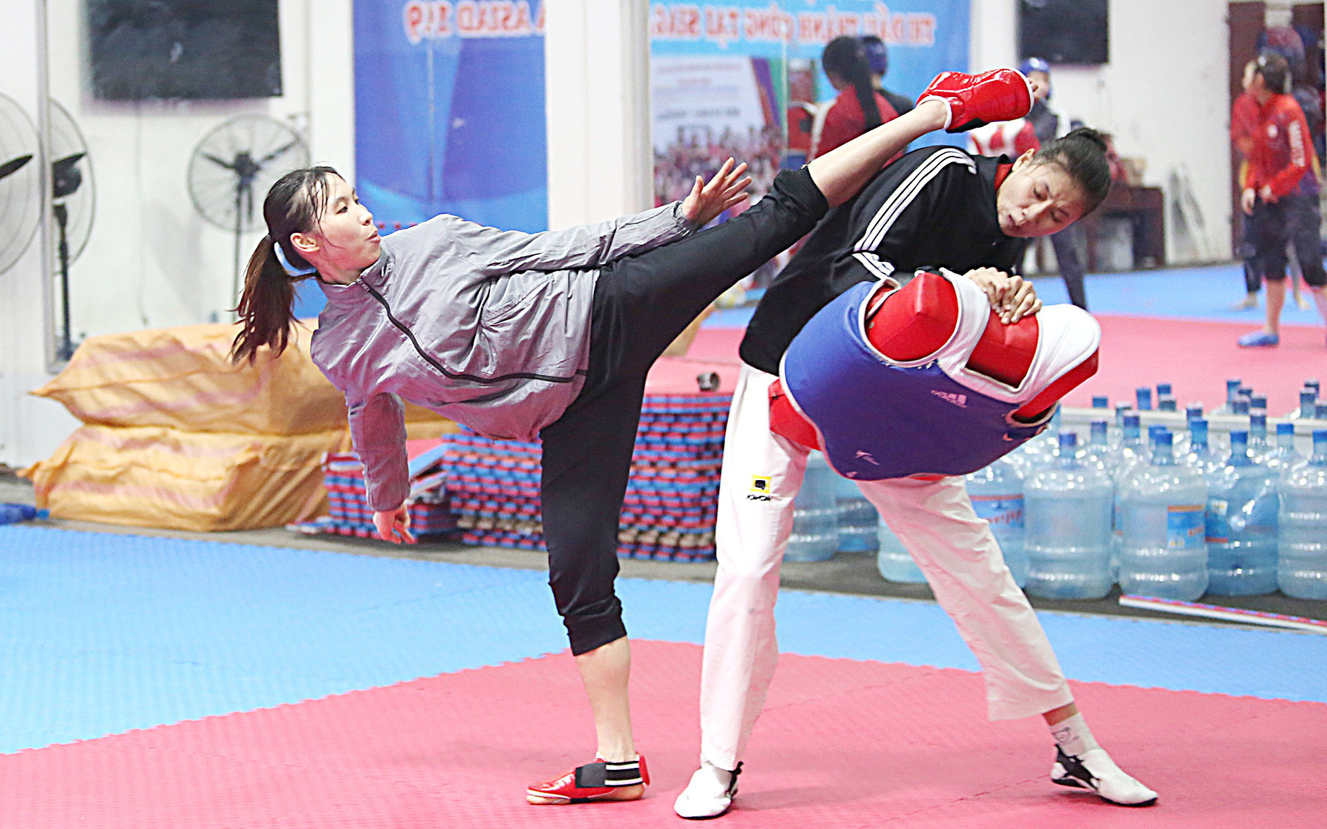 Ngày quyết định của taekwondo Việt Nam- Ảnh 2. Taekwondo Việt Nam nỗ lực tìm vé dự Olympic 2024