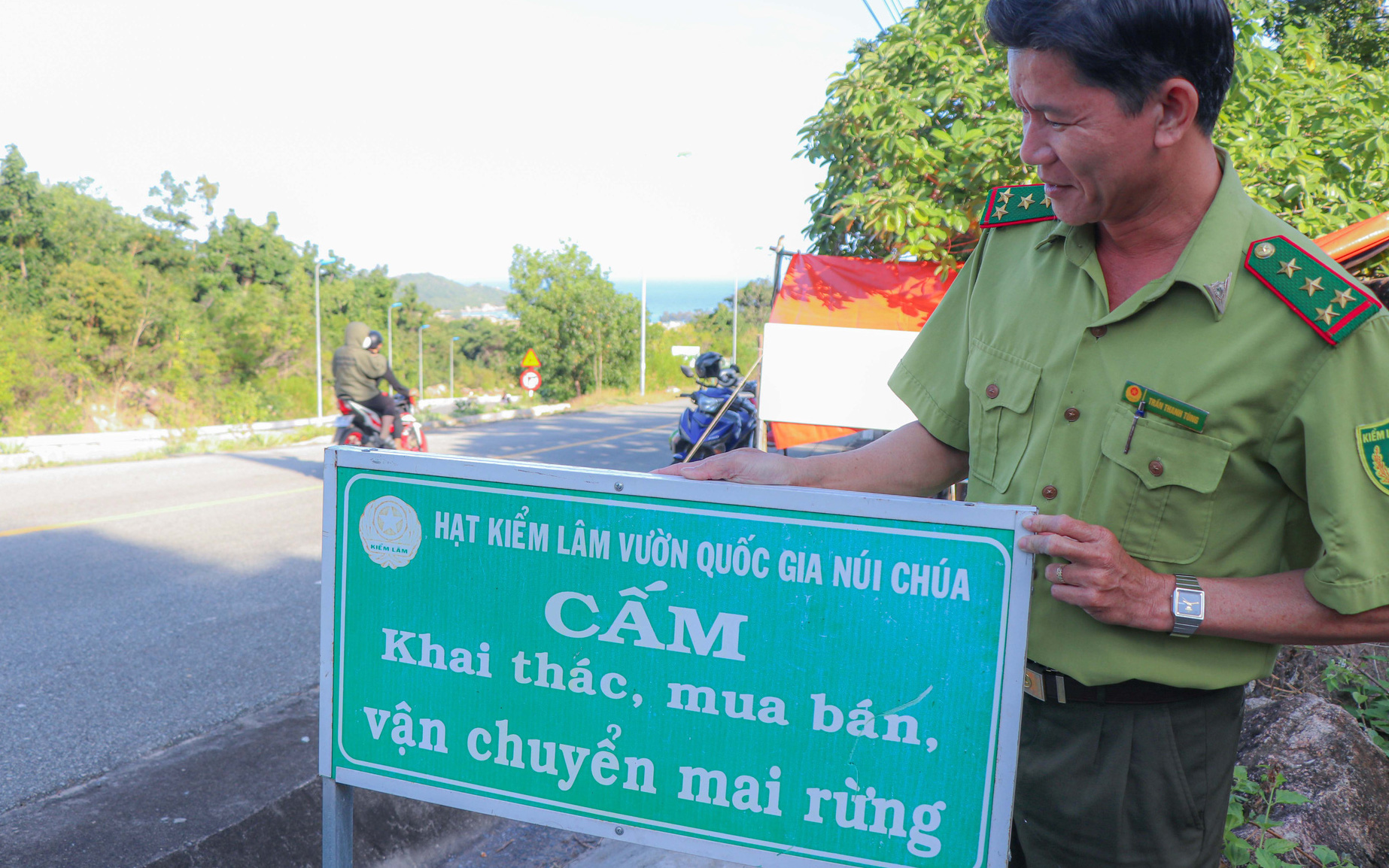 Vẫn còn tình trạng chặt mai rừng về bán cho 'đại gia' chưng Tết- Ảnh 6. Quyết ngăn nạn chặt mai rừng về chưng Tết