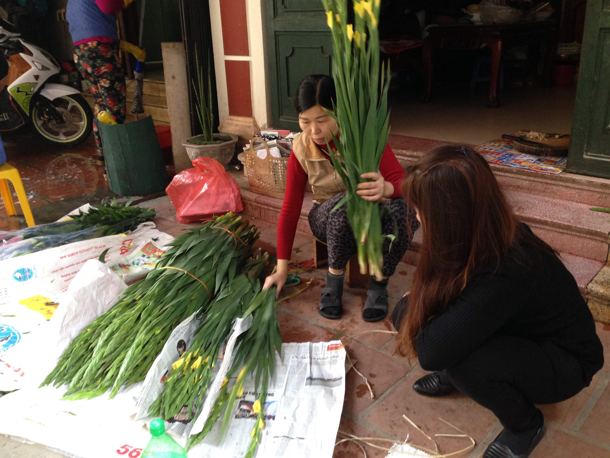 Hoa lay ơn được bày bán trước cửa nhà