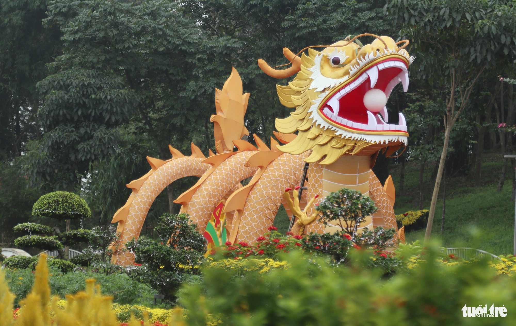 Cây cảnh hình rồng được 'phẫu thuật', dân mạng khen lột xác - Tuổi Trẻ ...