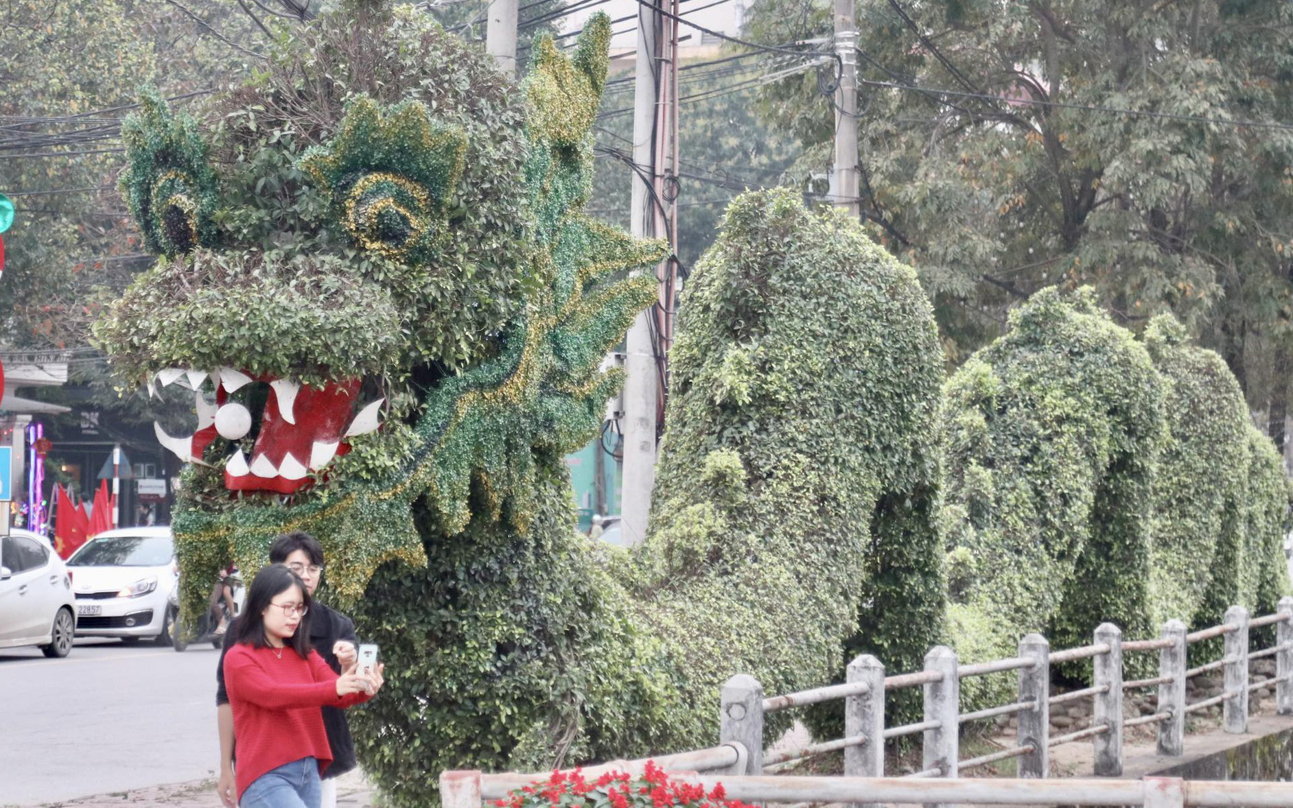 Cây cảnh hình rồng được