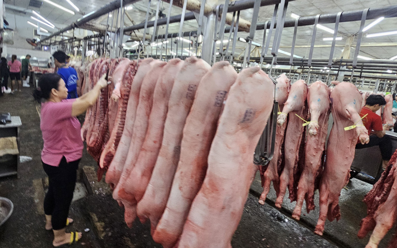 29 Tết: thịt heo về chợ dồn dập, giá ba rọi và sườn non tăng mạnh
