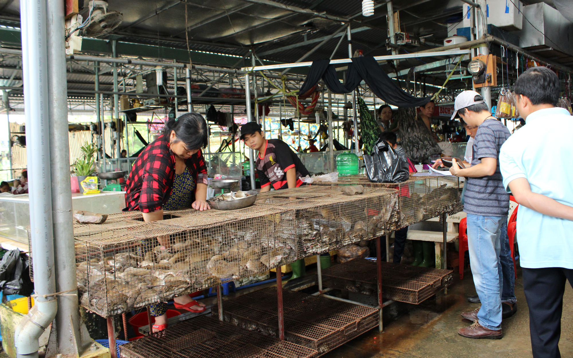 Ăn thịt chim hoang dã và thú rừng: Rồi có trả đủ nghiệp quả cho một bữa ăn?- Ảnh 8. Săn ‘đặc sản’ thú rừng ăn Tết, coi chừng nguy cơ nhiễm bệnh từ động vật hoang dã