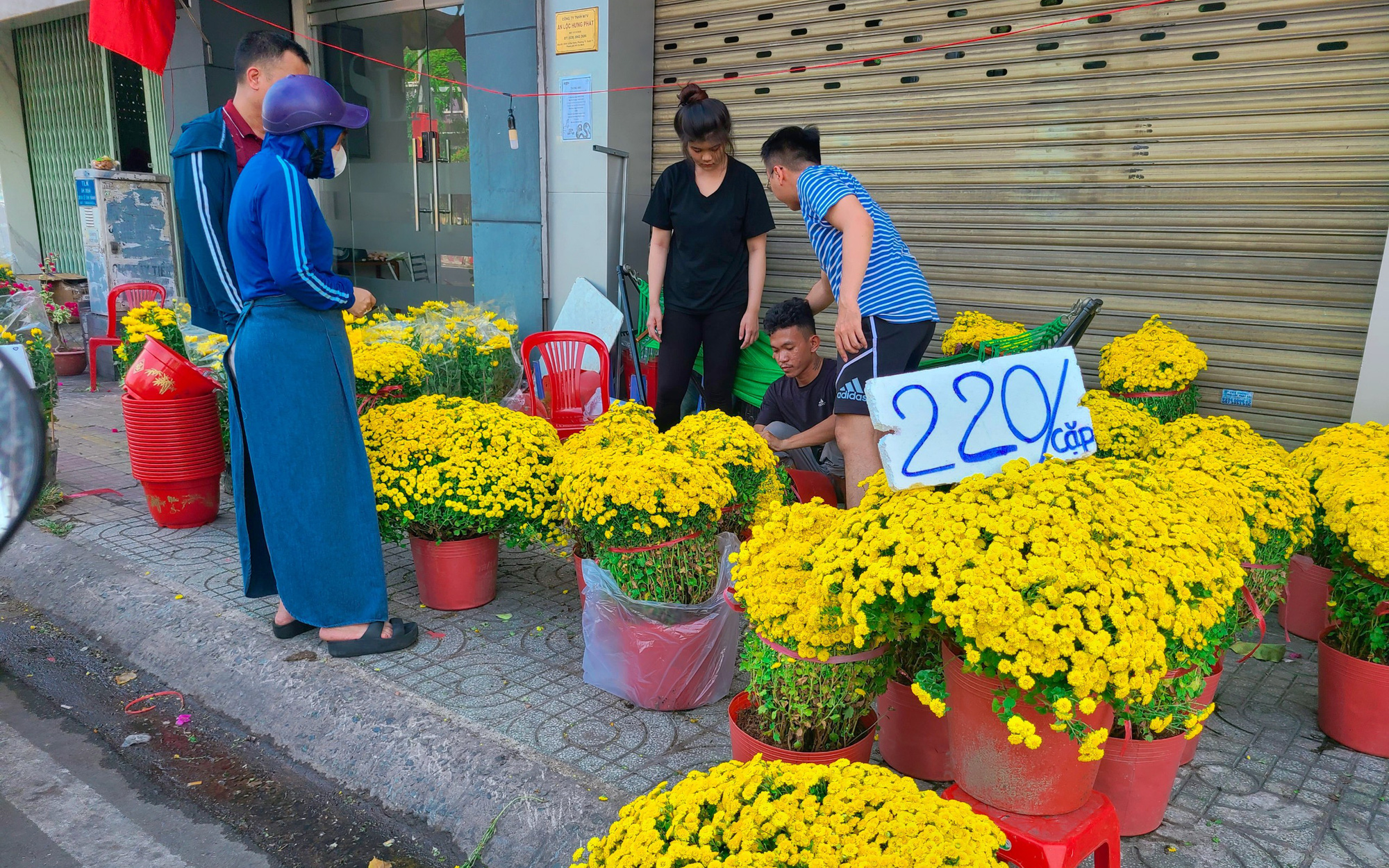 Hoa kiểng 