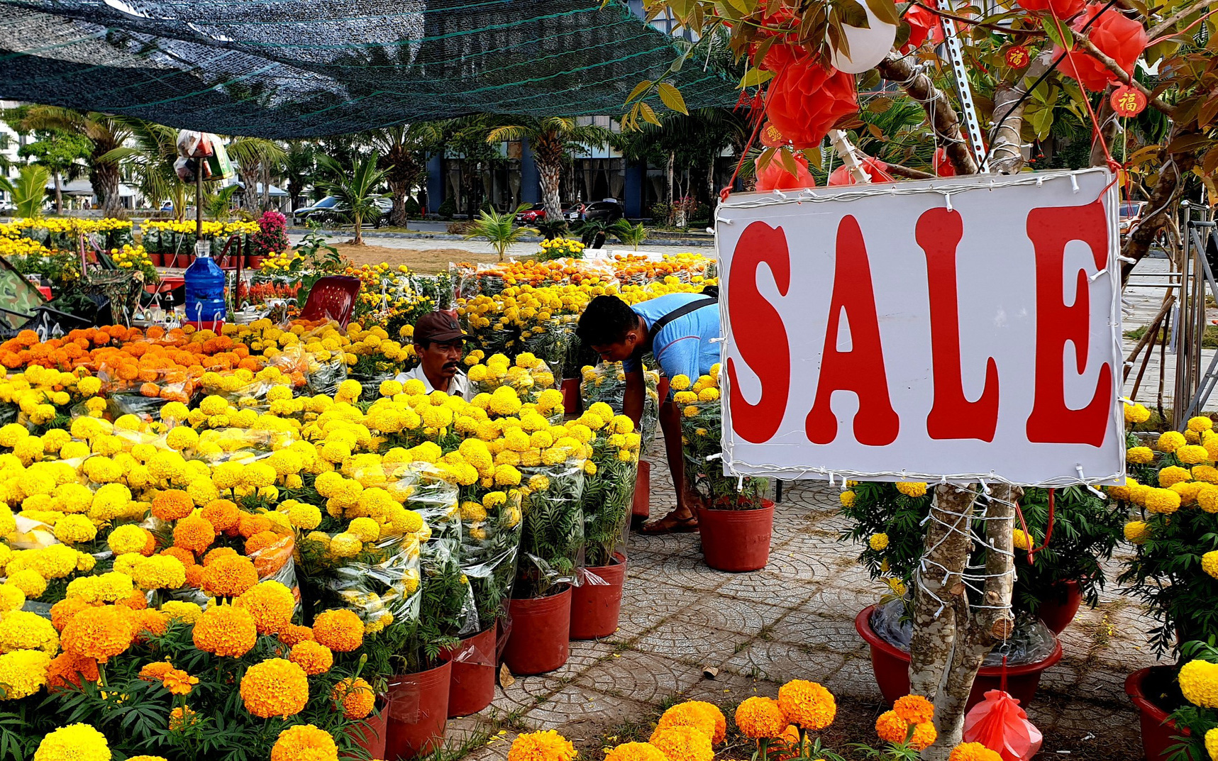 Thời tiết các vùng đêm giao thừa Tết Giáp Thìn 2024- Ảnh 2. Chưa đến giao thừa, nhiều nơi đã ‘bán đổ bán tháo’ hoa Tết