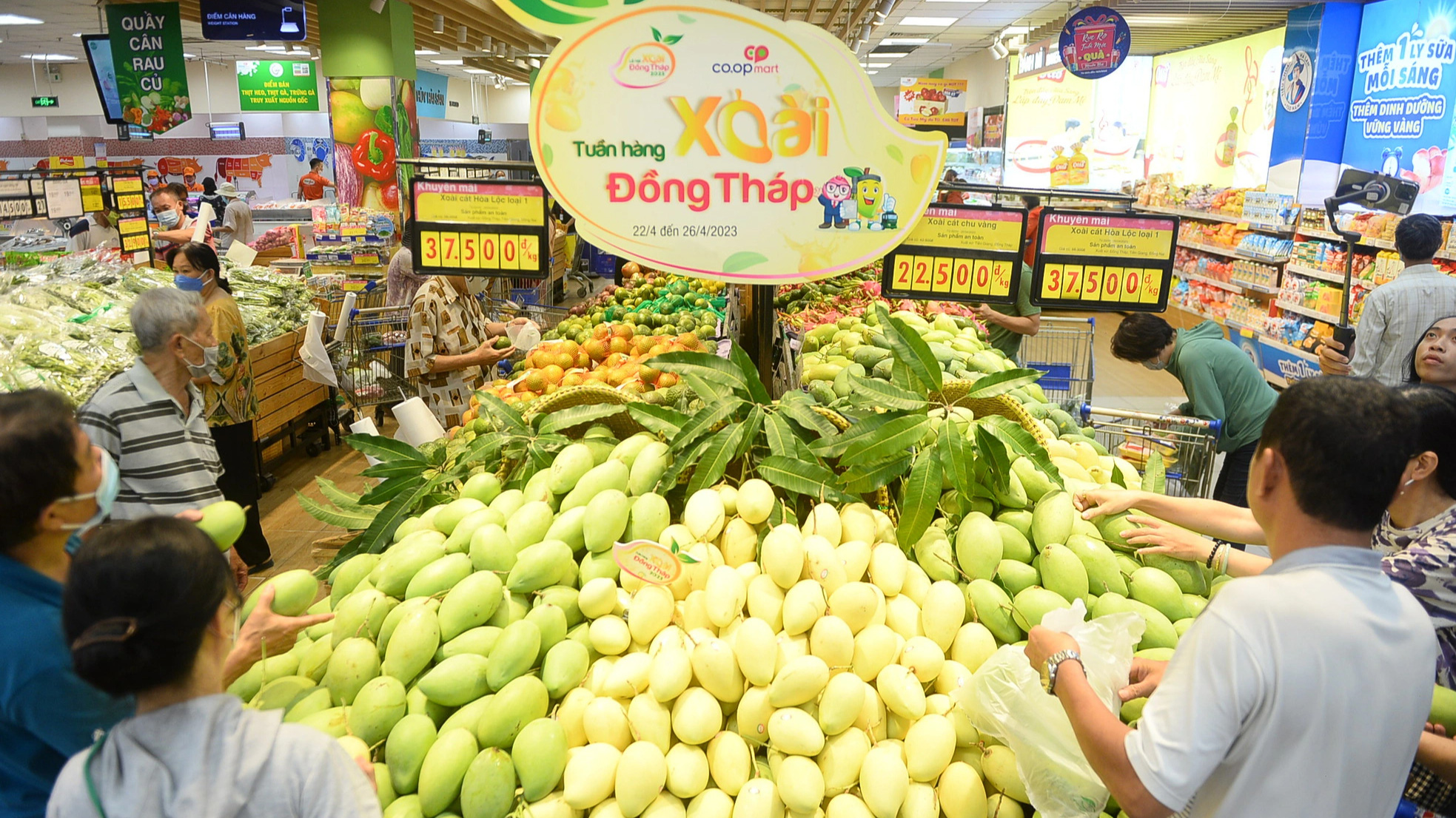 Các mặt hàng nông sản Việt thêm cơ hội bước ra thị trường thế giới thông qua hợp tác với Saigon Co.op - Ảnh: QUANG ĐỊNH