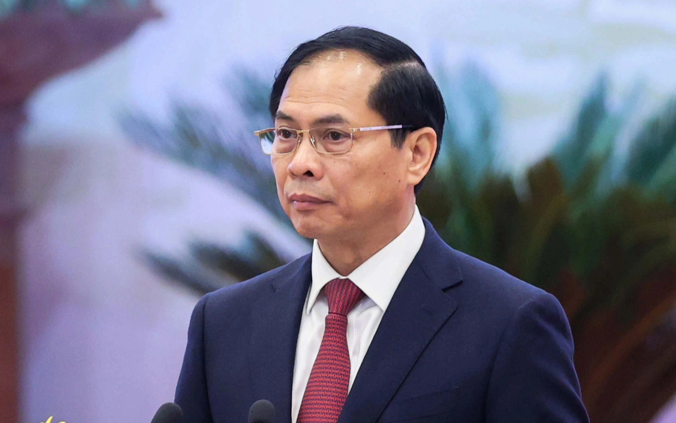 Bộ trưởng Bùi Thanh Sơn: Phải chặt đứt đường dây lừa 'việc nhẹ lương cao'- Ảnh 2. Bộ trưởng Bộ Ngoại giao nêu giải pháp chống tham nhũng, tiêu cực