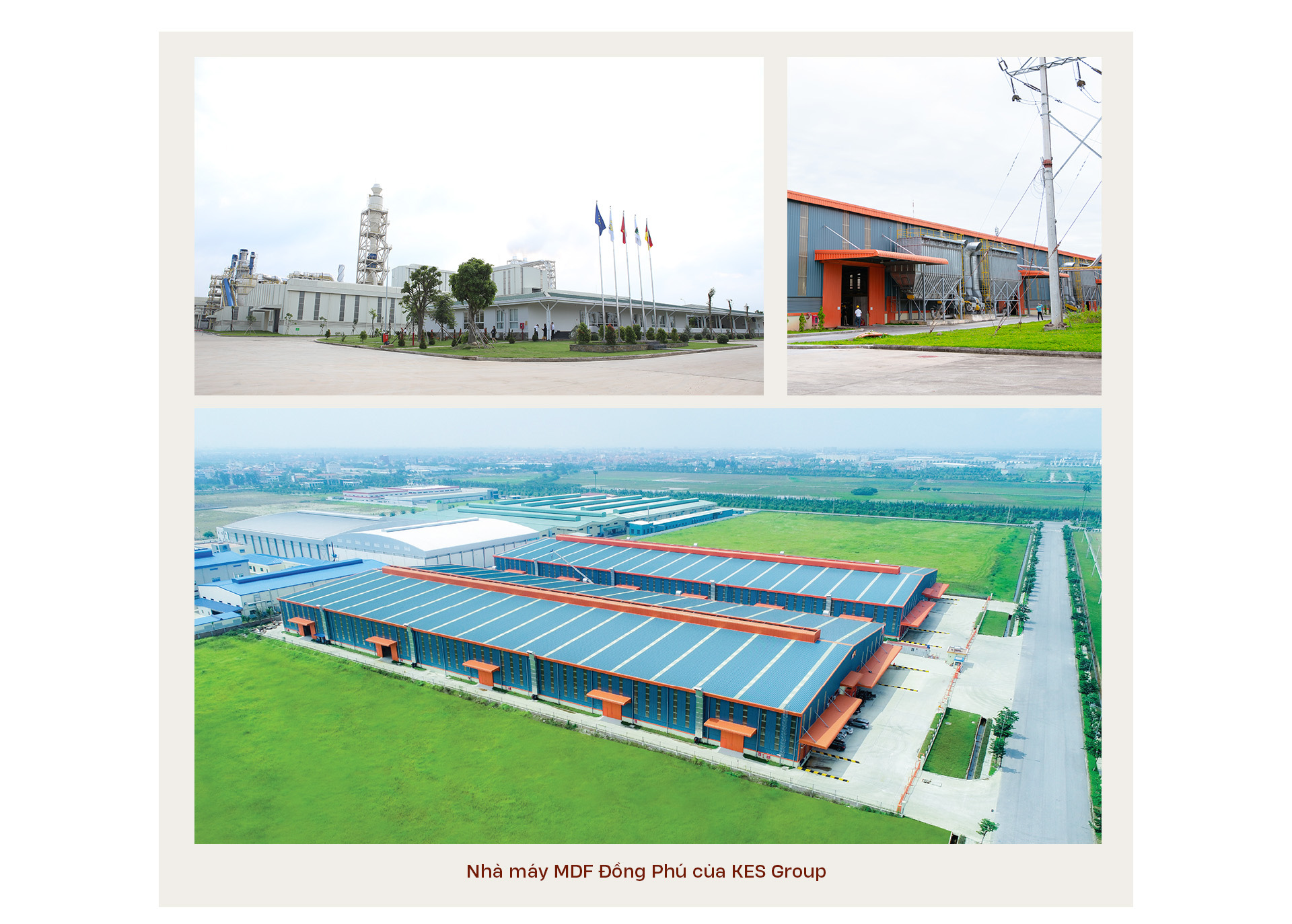 Ván gỗ công nghiệp Việt Nam: Quốc tế đón nhận, làm chủ sân nhà - Ảnh 3.