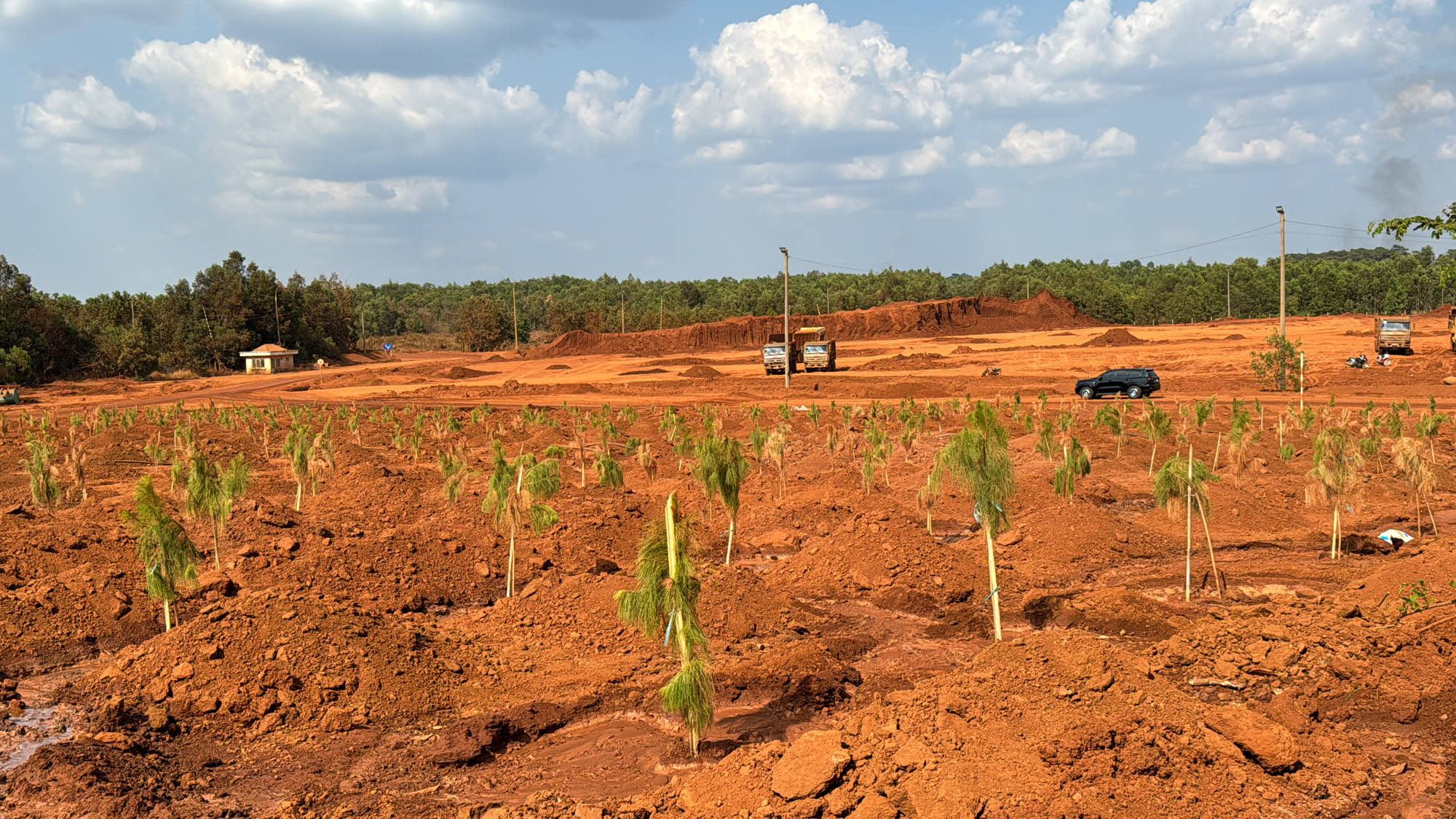 Chủ tịch UBND tỉnh Đắk Nông lo mắc nợ dân vì quy hoạch bô xít - Tuổi ...
