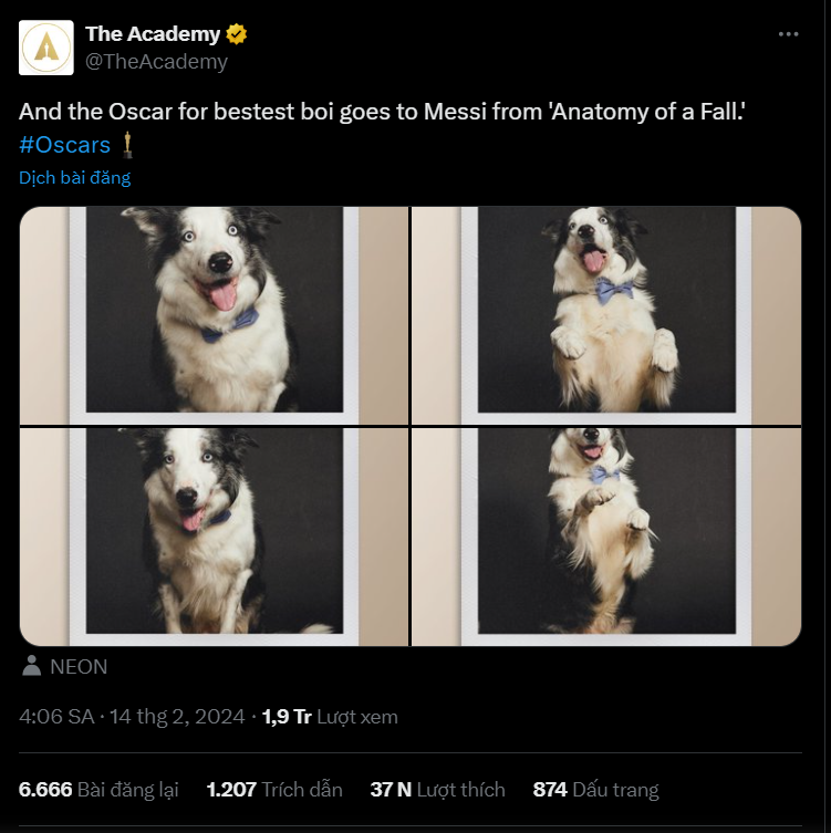 ناگفته هایی درباره مسی، ستاره ۴پای اسکار ۲۰۲۴ - عکس ۲. Viện hàn lâm thông cáo trên X (tiền thân là Twitter) rằng Messi đã thắng giải Chú cún ngoan nhất màn ảnh trước Oscar 1 tháng - Ảnh: X