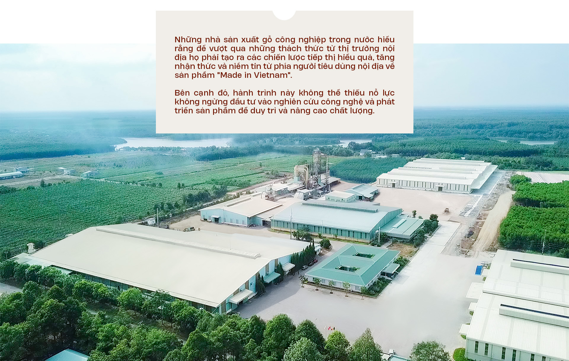 Ván gỗ công nghiệp Việt Nam: Quốc tế đón nhận, làm chủ sân nhà - Ảnh 17.