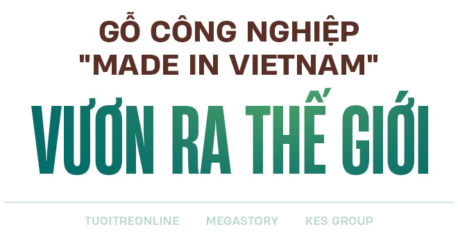 Ván gỗ công nghiệp Việt Nam: Quốc tế đón nhận, làm chủ sân nhà - Ảnh 2.