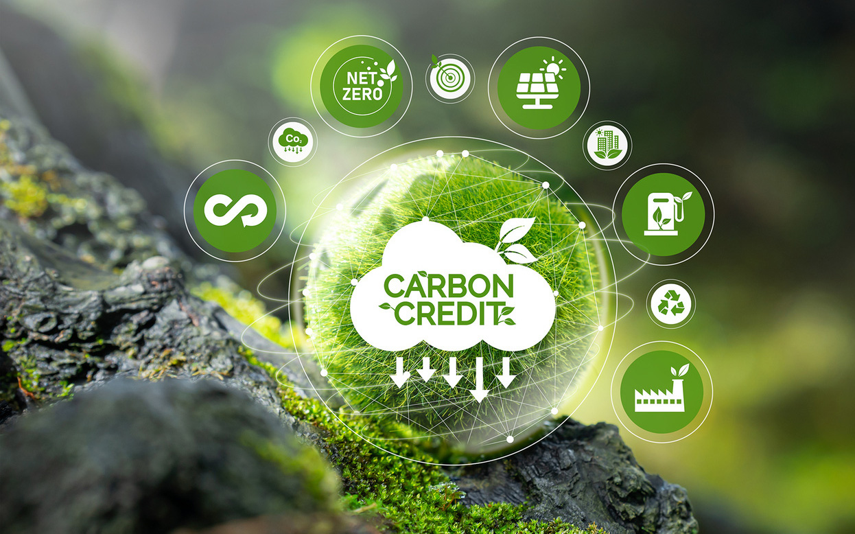 Tiền bán tín chỉ carbon đã về- Ảnh 7. 5 đô la một tín chỉ carbon là mắc hay rẻ?