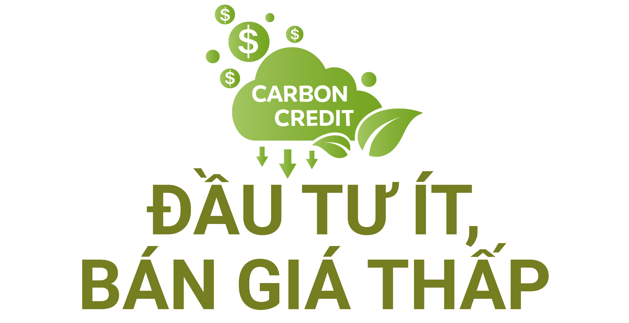 Xả Hàng Tồn Kho] Cần câu tay Thanh Công Kiếm 5H. chất liệu carbon