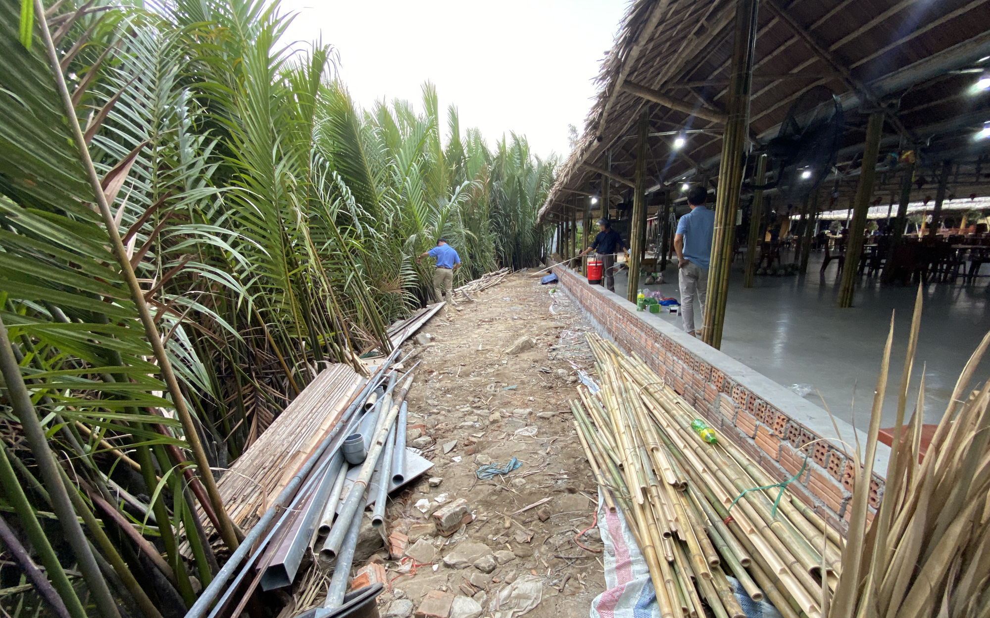 Nhận sai, chủ doanh nghiệp lấn rừng dừa ở Hội An nói sẽ trồng khôi phục phần rừng bị lấp- Ảnh 3. Khẳng định dân Hội An không phá rừng, phóng viên dẫn tới hiện trường, chủ tịch xã sốc