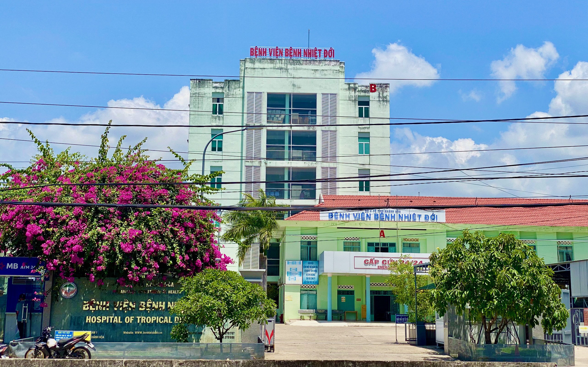 Vụ nhiễm cúm A/H5 ở Khánh Hòa: Đã xác định được loại kháng nguyên N trong vi rút cúm- Ảnh 2. Bệnh nhân nhiễm cúm A/H5 trở nặng phải thở máy