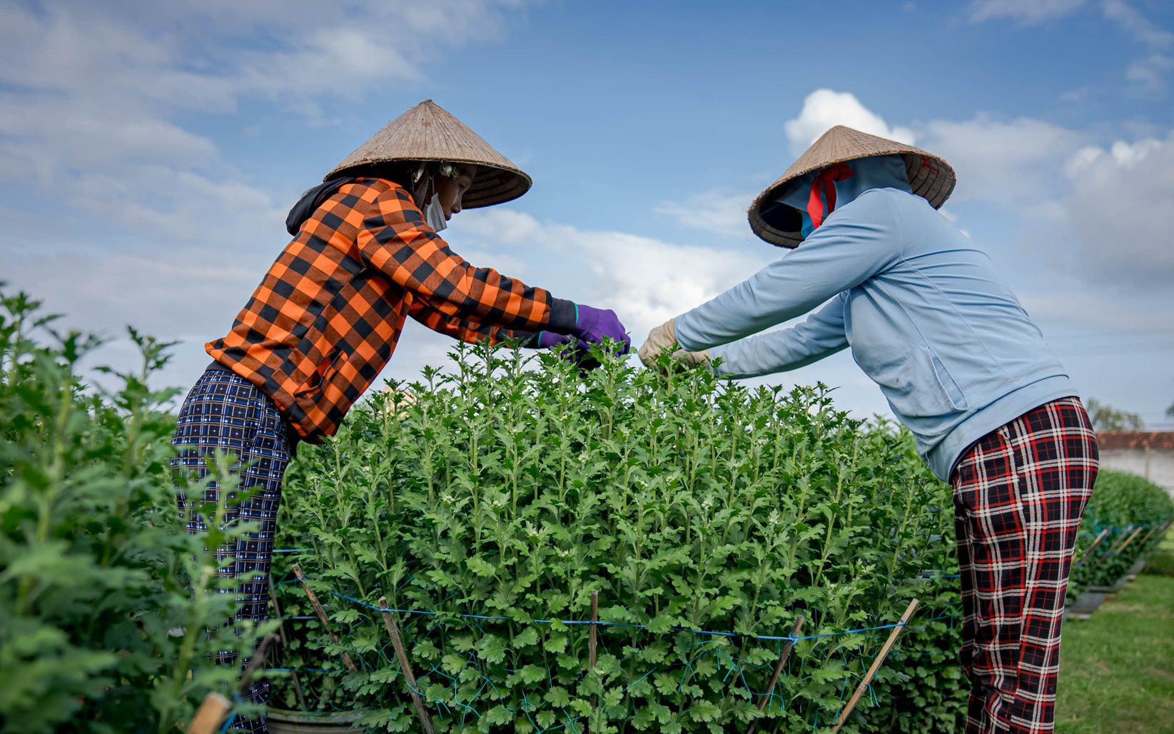 Nghị quyết Chính phủ: Đến năm 2030, có ít nhất 10 doanh nhân là tỉ phú đô la- Ảnh 3. Hỗ trợ 25.000 nữ doanh nhân phát triển doanh nghiệp