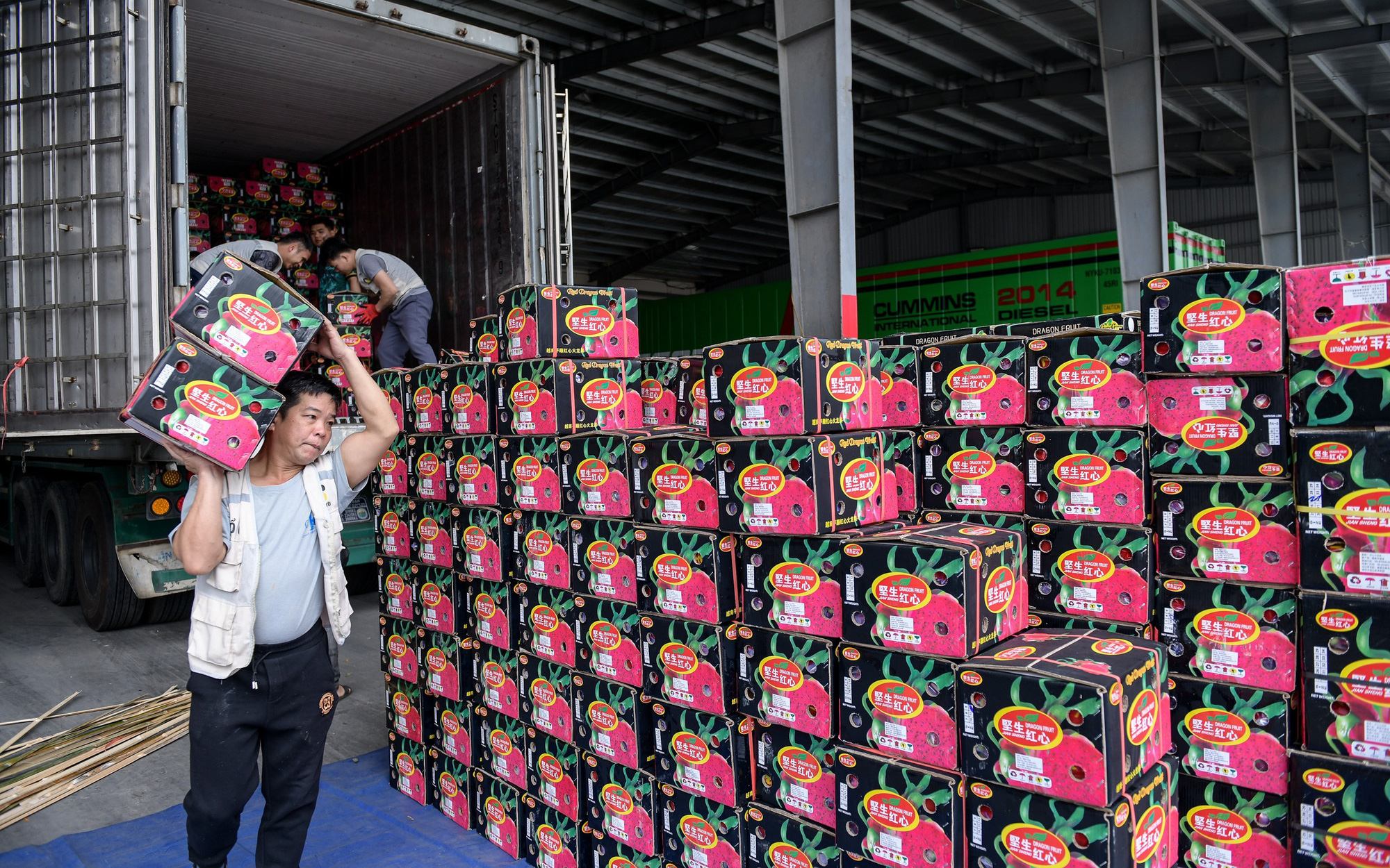 Thái Lan bất ngờ tăng chi tiền lớn mua rau quả Việt Nam- Ảnh 2. Gạo, cà phê, rau quả xuất khẩu của Việt Nam 'đắt hàng'