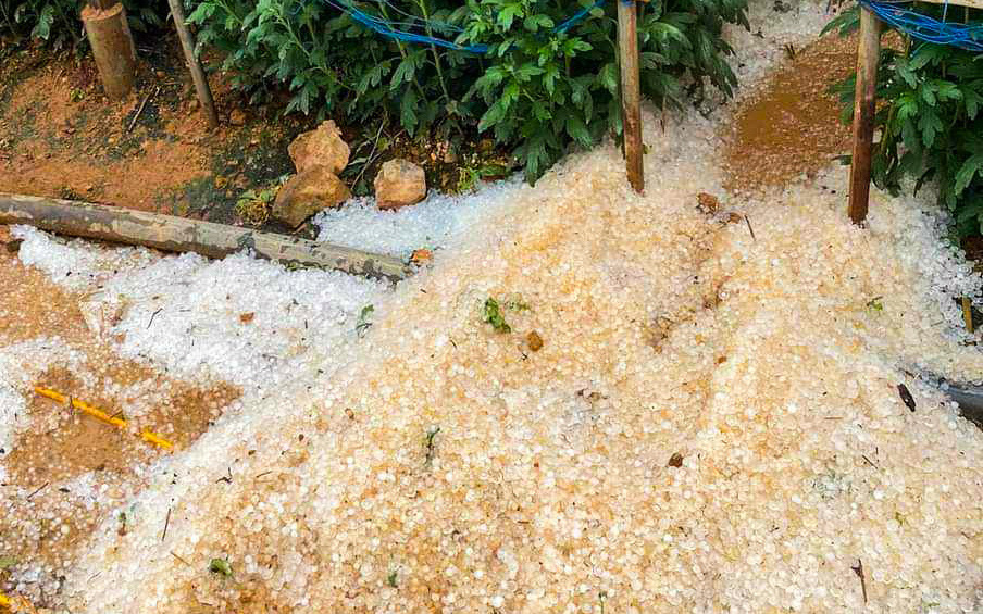 Liên tục xuất hiện mưa đá ở các huyện miền núi Quảng Nam- Ảnh 5. Đà Lạt mưa trắng trời, nhiều nơi mưa đá