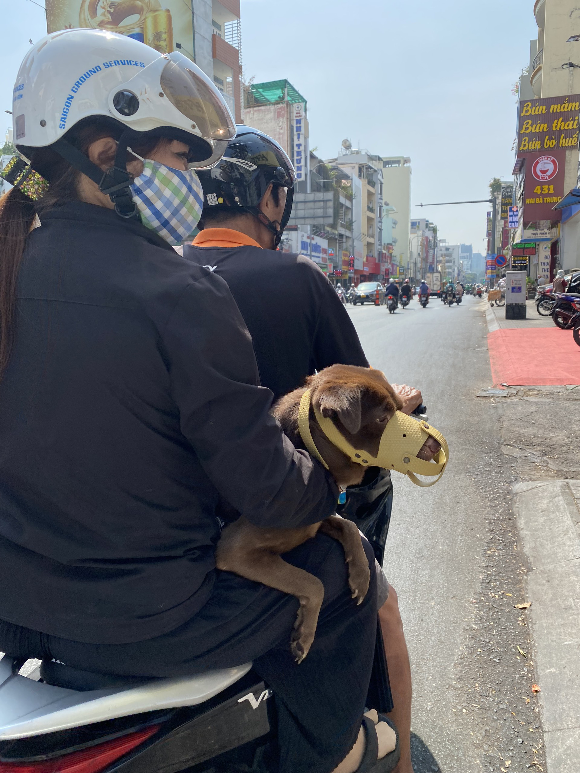 Cắt nước sinh hoạt vì cư dân không đóng tiền phạt: Ban quản lý chung cư có lạm quyền?- Ảnh 2. Nuôi chó, mèo ở chung cư: Bạn đọc gợi ý nhiều giải pháp thiết thực
