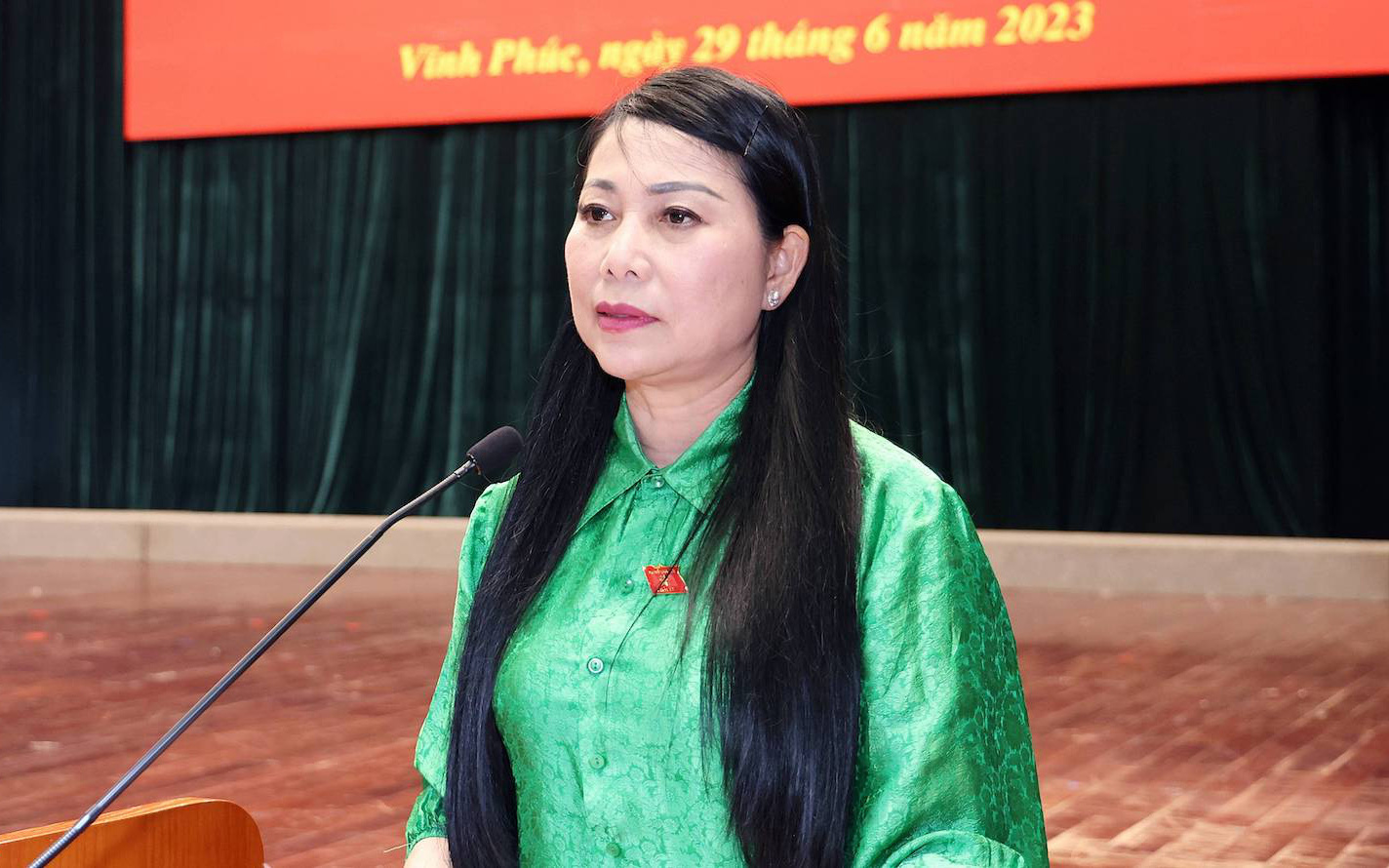 Đề nghị kỷ luật cựu bí thư Vĩnh Phúc Hoàng Thị Thúy Lan và chủ tịch Lê Duy Thành- Ảnh 3. Tạm đình chỉ nhiệm vụ đại biểu Quốc hội với bí thư Vĩnh Phúc Hoàng Thị Thúy Lan