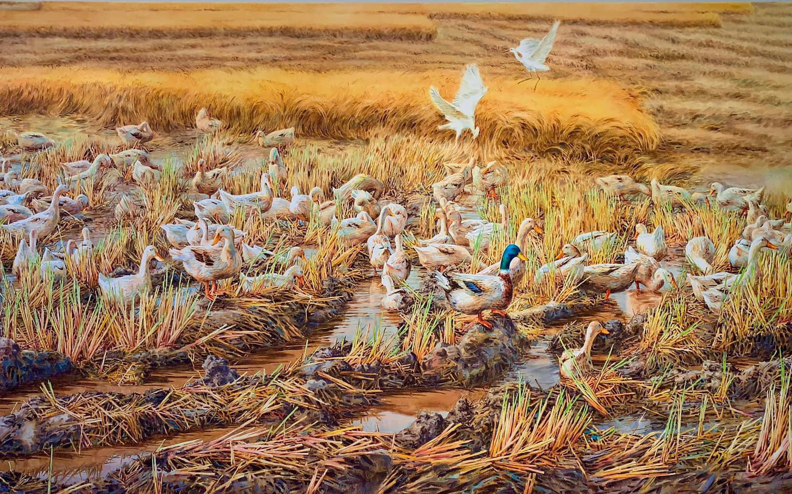 Miền Tây đẹp nao lòng dù