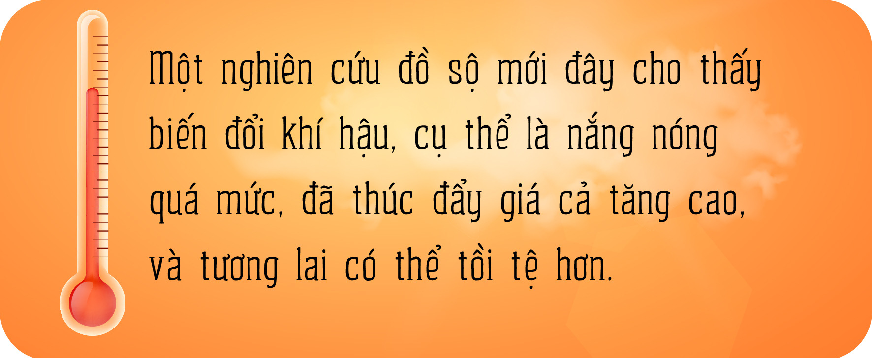 Trời nóng, giá cả cũng 'nóng'- Ảnh 1.