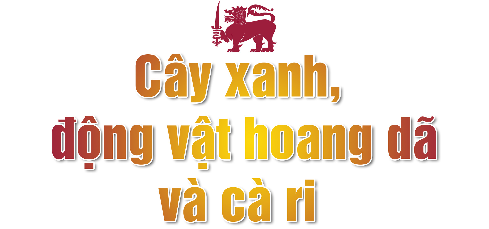 Nụ cười không tắt ở đất nước hình giọt lệ Sri Lanka - Ảnh 5.