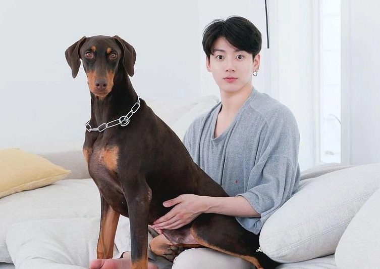 Bam är älskad för sin lojalitet och tillgivenhet för Jungkook - Foto: Koreaboo Bam được yêu mến bởi sự trung thành, tình cảm với Jungkook - Ảnh: Koreaboo