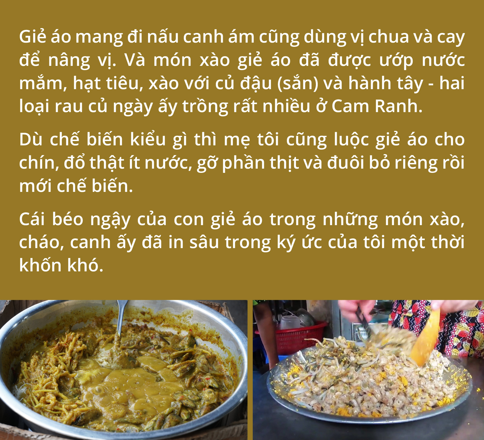 Giá bể, giẻ áo, cà xỉu và 500 triệu năm trên đĩa ăn - Ảnh 7.