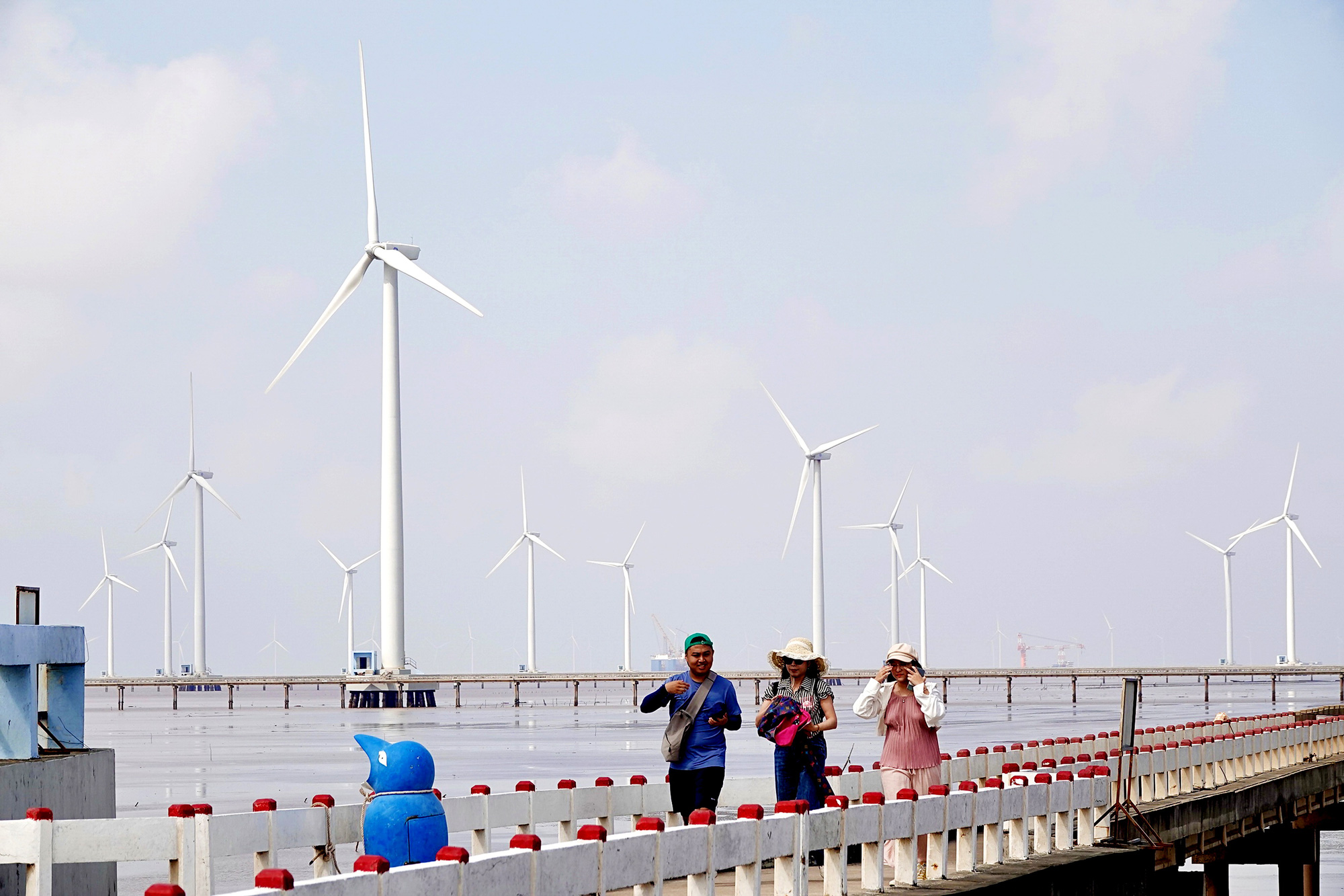 Cánh đồng điện gió tại huyện Vĩnh Trạch Đông, TP Bạc Liêu (tỉnh Bạc Liêu) trở thành điểm thu hút khách du lịch - Ảnh: T.T.D.