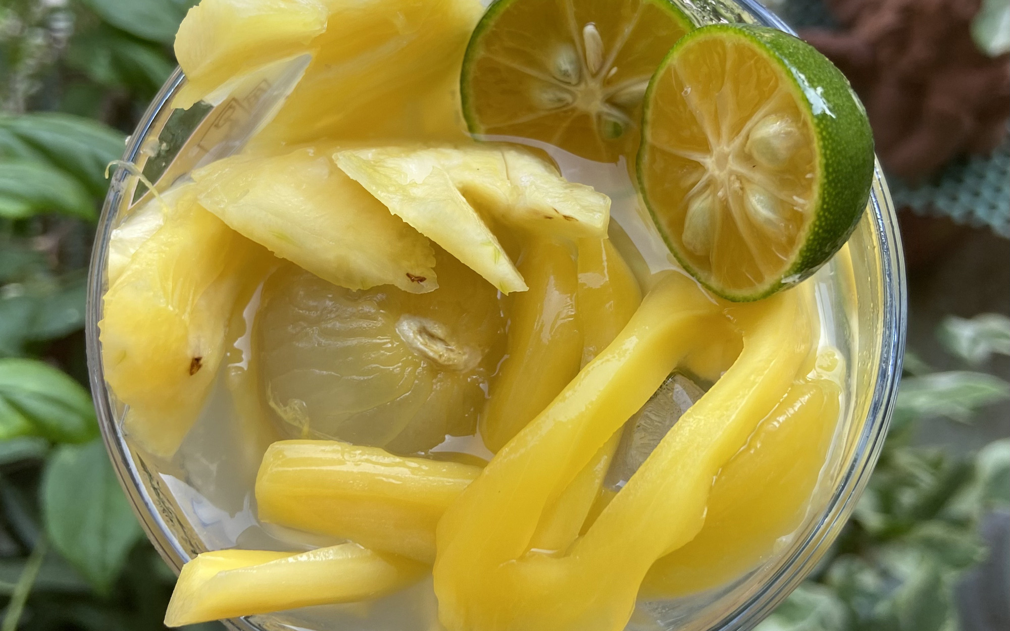 Sáng tạo nước dừa mix trái cây thơm ngon đầy mê say
