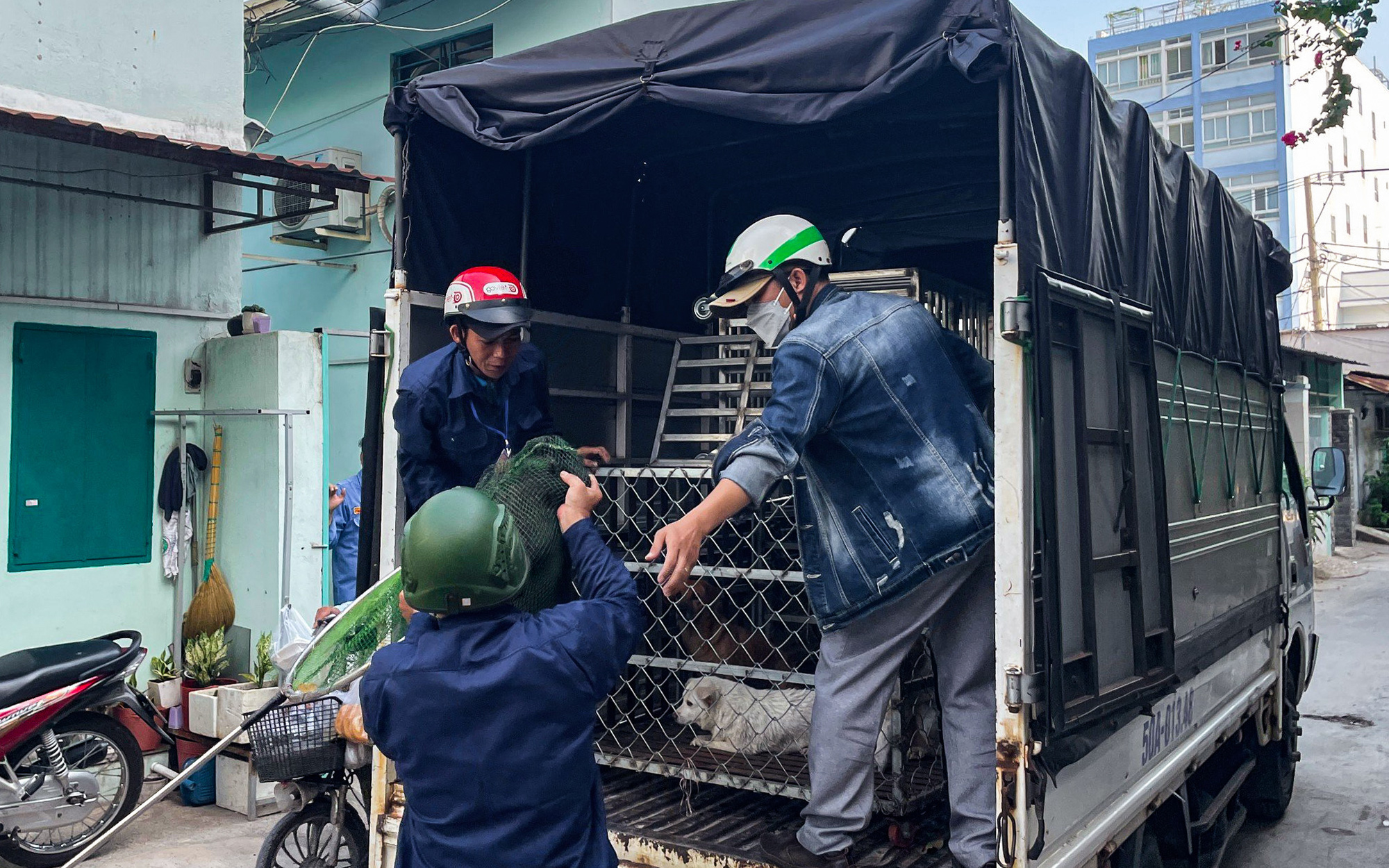 Muốn tặng ít tiền cho đội ngũ bắt chó: Được không và nơi nào nhận?- Ảnh 2. Thấy chó thả rông ngoài đường, gọi số nào để thông báo?