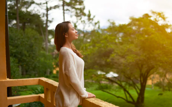 Vì sao càng cố thư giãn, càng căng thẳng hơn?- Ảnh 2. Chữa lành là cách phản ứng với stress, chữa xong rồi mới... xông pha nổi