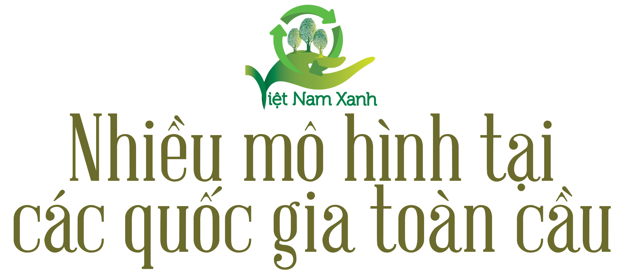 Mơ về một thành phố xanh - Ảnh 14.