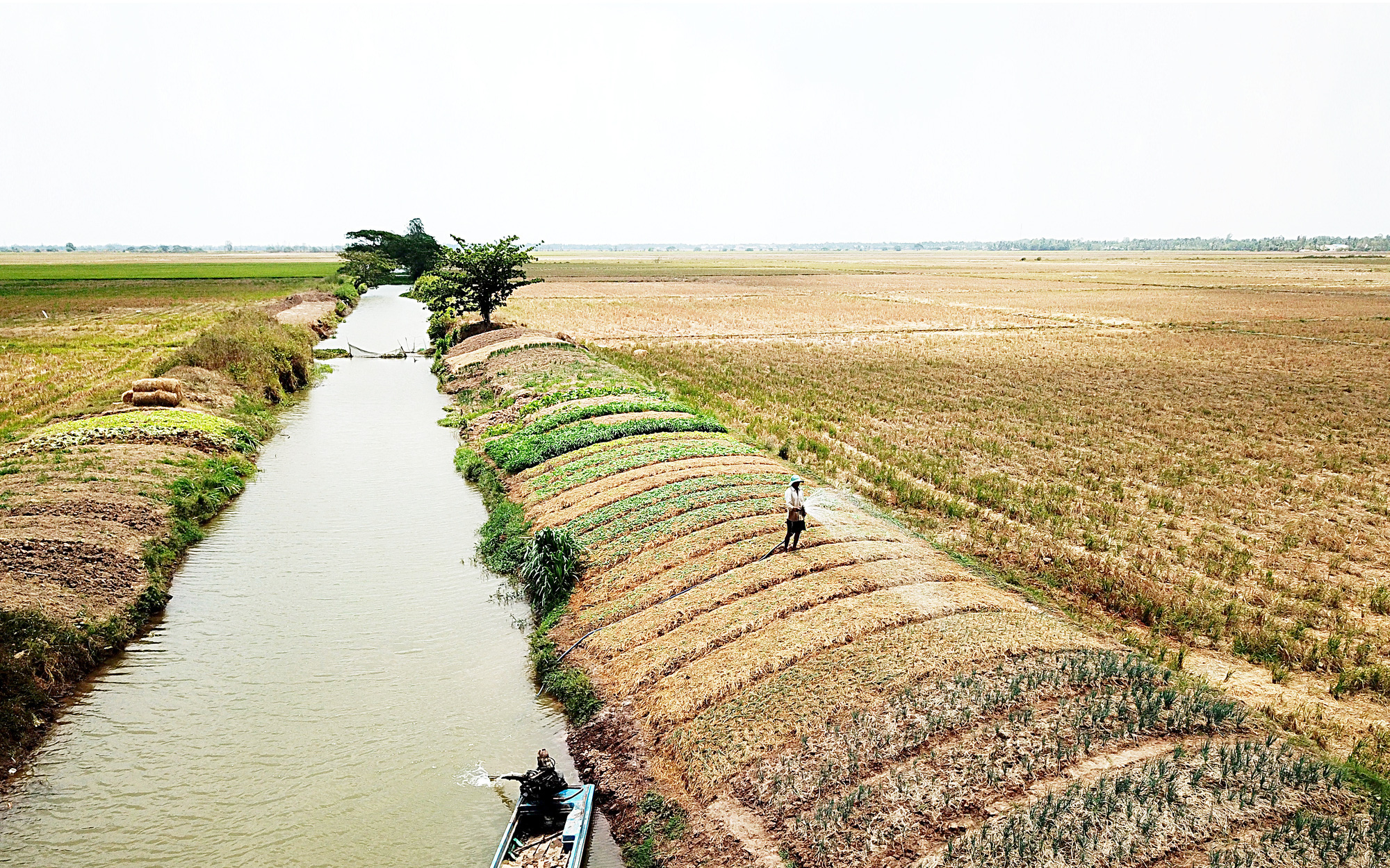 Giữa mùa xâm nhập mặn, đất Trà Vinh vẫn phì nhiêu nhờ phòng bị tốt- Ảnh 4. Giải pháp về nguồn nước vùng ĐBSCL - Kỳ 1: Loay hoay tìm nguồn nước giải